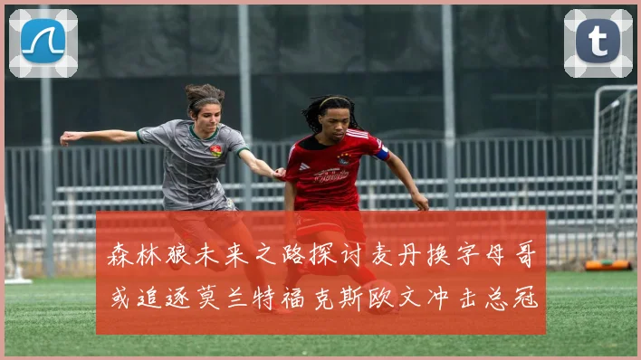 森林狼未来之路探讨麦丹换字母哥或追逐莫兰特福克斯欧文冲击总冠军