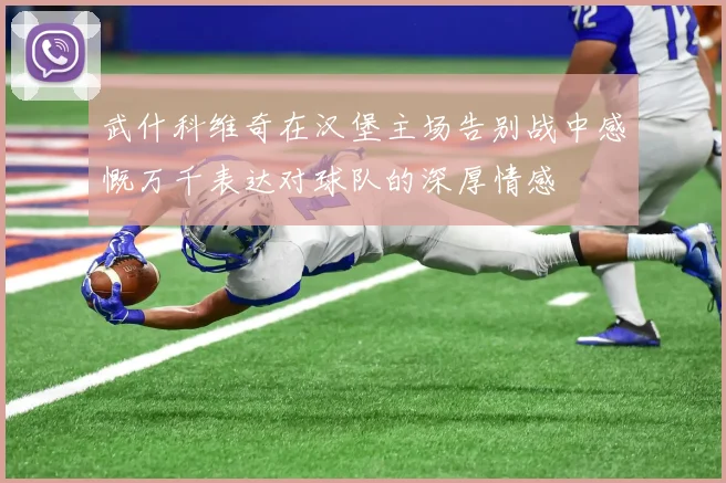 武什科维奇在汉堡主场告别战中感慨万千表达对球队的深厚情感