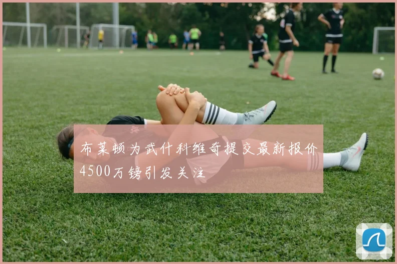 布莱顿为武什科维奇提交最新报价4500万镑引发关注